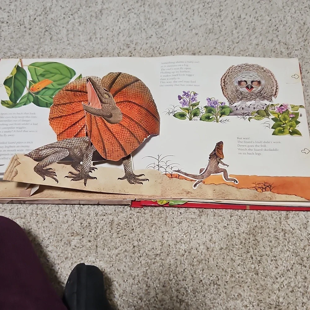 Children's Book Set - Animals Showing Off & Out of the Box Learning And Craft